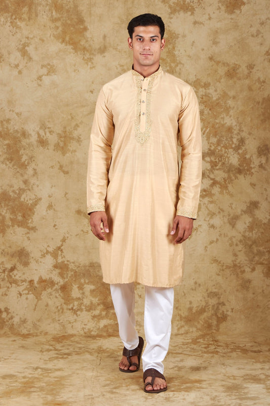 Bluesaanchi Chandery Silk Khaki Embroidered Kurta Set - Veshbhoshaa