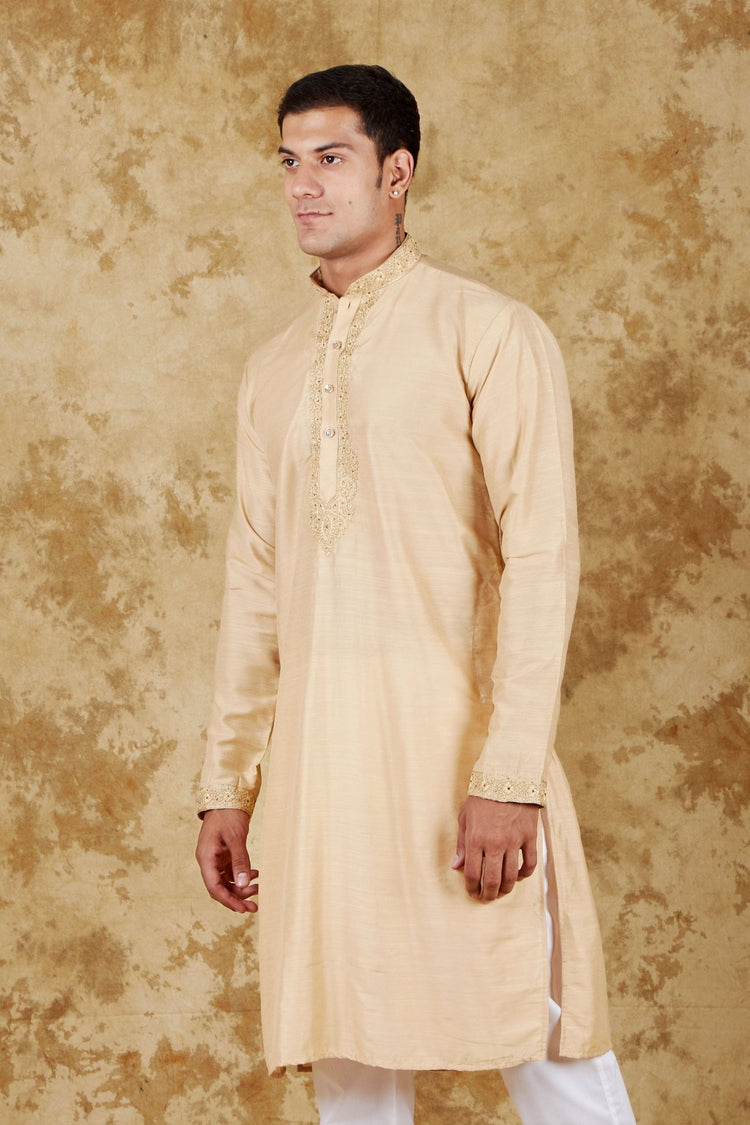 Bluesaanchi Chandery Silk Khaki Embroidered Kurta Set - Veshbhoshaa