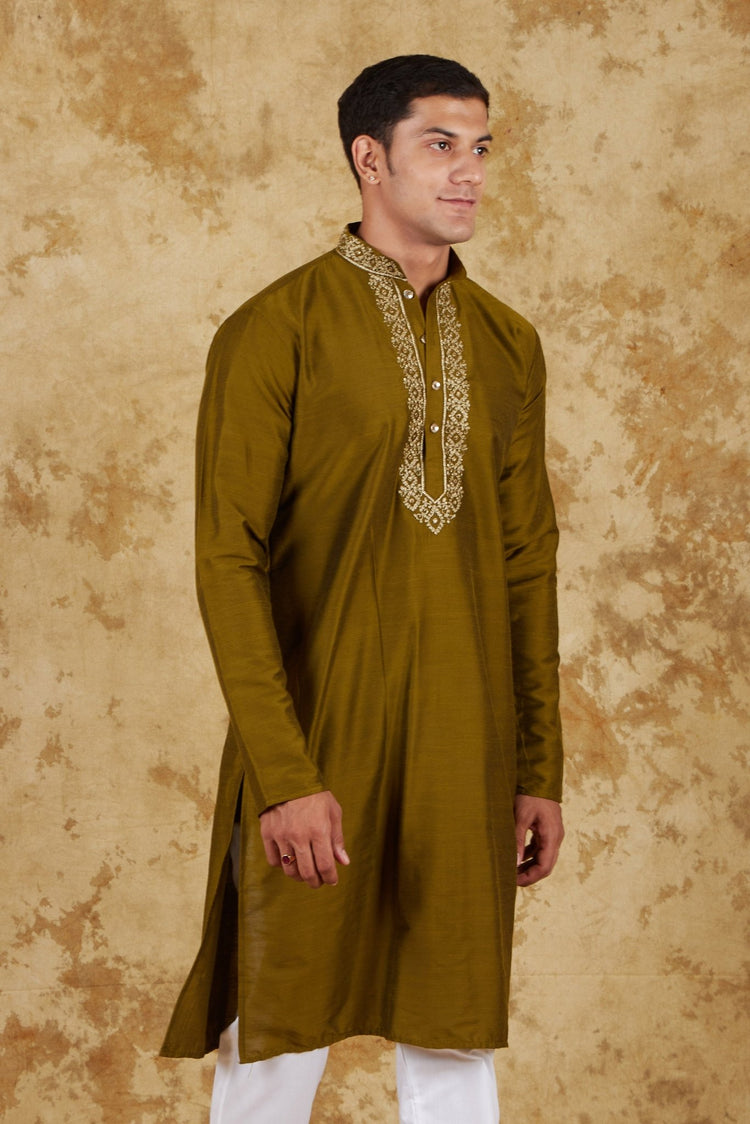 Bluesaanchi Royal Elegance Field drab Handloom Embroidery Kurta Set - Veshbhoshaa