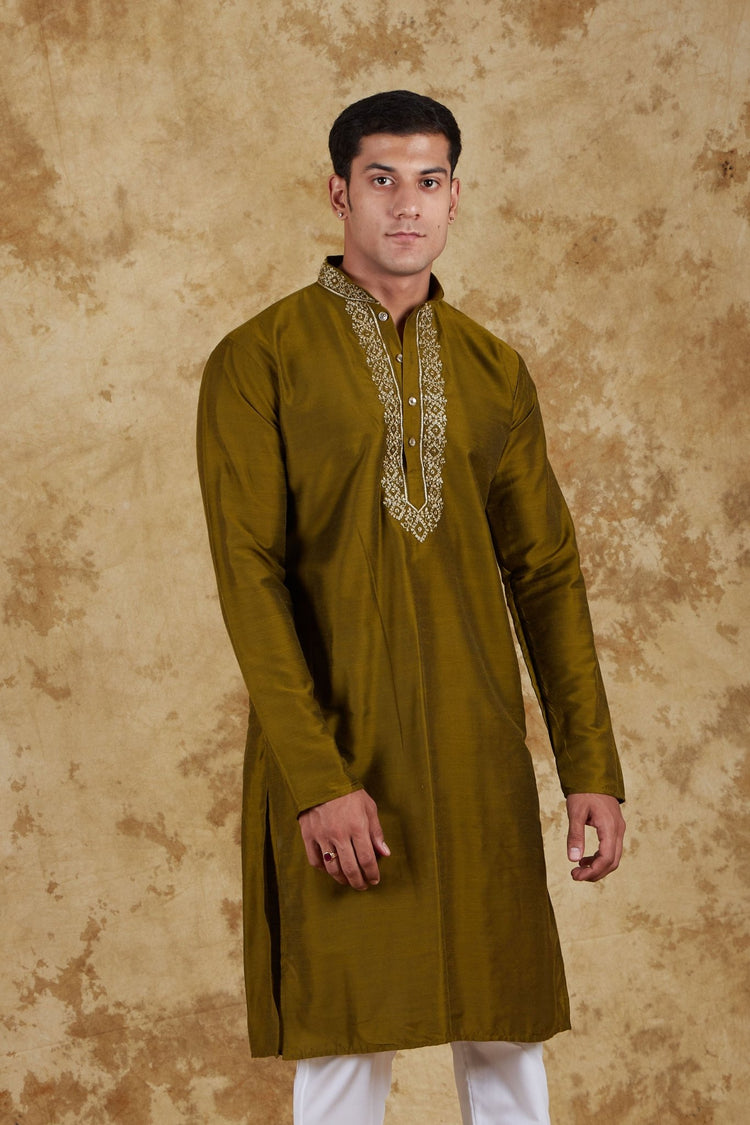 Bluesaanchi Royal Elegance Field drab Handloom Embroidery Kurta Set - Veshbhoshaa