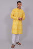 Bluesaanchi Men's Chikankari Threadwork & Sequin Kurta Set –Yellow Brown