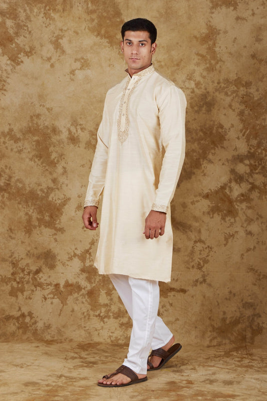 Bluesaanchi Chandery silk Light khaki Embroidered Kurta Set - Veshbhoshaa